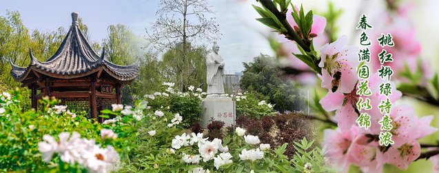 为进一步规范pg电子冰雪大冲关操作说