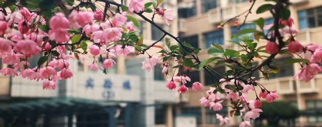 提升资产管理规范化