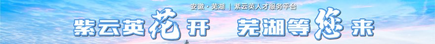 就业指导 职业规划 MORE+ MO