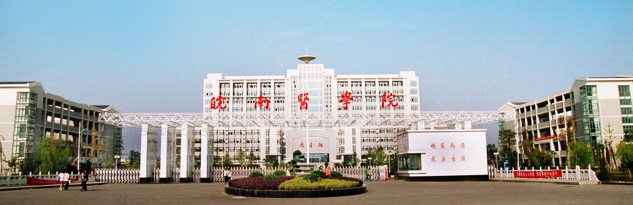 三十载医路情牵 再聚首共话初心 19